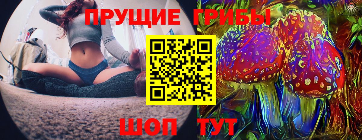 Псилоцибиновые грибы Cubensis  Вход с VPN  Санкт-Петербург  Псилоцибиновые грибы ЛСД 
