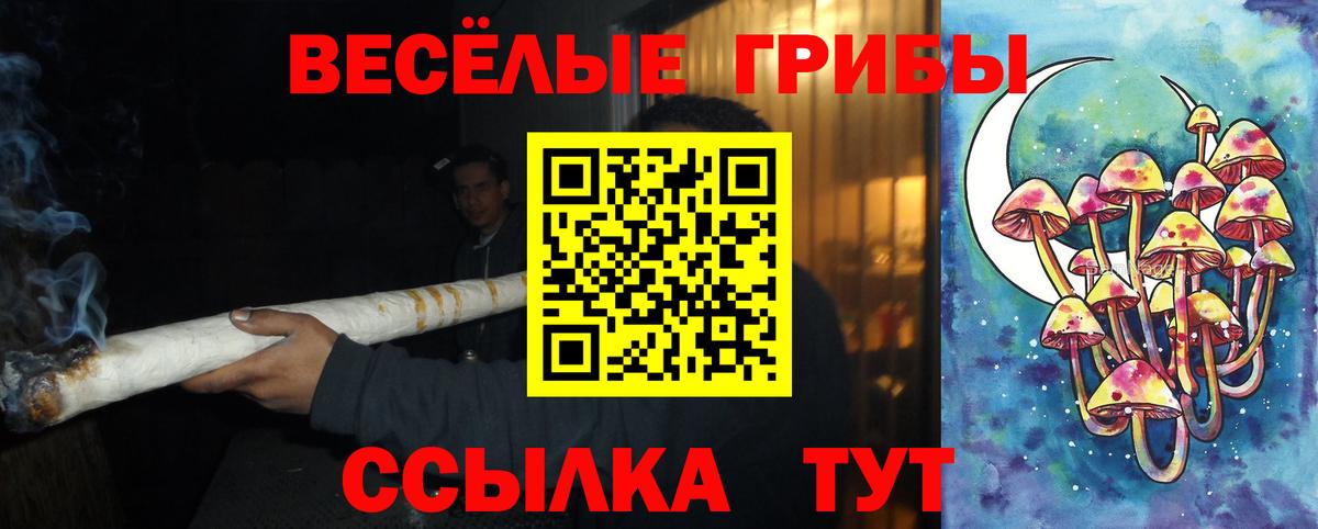 Псилоцибиновые грибы мицелий Санкт-Петербург